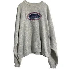 Hanes 刺繍スウェット トレーナー ヘインズ XXL グレー プルオーバー 裏起毛 SOMERS USA製 ビッグサイズ 古着卸 アメリカ仕入 a610-7987のサムネイル
