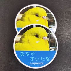 送料無料　セキセイインコ　インコ「インコ　おなかすいた　ステッカー」（約６０ｍｍ×約６０ｍｍ）※２枚セット販売