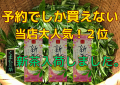 新茶入荷しました‼︎!全国  新茶 八十八夜 母の日 お茶   緑茶　健康　訳あり　くまもと茶あらづくり　100ｇ×3袋 メール便ギフト