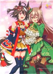 非売品）ローゼンメイデン アニメイト特典イラスト色紙 翠星石＆蒼星石