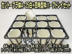 カネヤ＊カントープラ鉢A-25白(12鉢)＋四角型枠ハーフトレイセット＠フラワーショップ江口＊A25※黒インク状の付着が有ったりします＠多肉植物・塊根植物コーデックス・アガベ・サボテン・ハオルチア・アデニウム・パキポディウム・実生のサムネイル