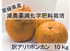 愛媛県産　減農薬　訳アリポンカン　10kg