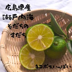 徳島県神山町産 《冷蔵貯蔵すだち》混合サイズ20キロ キズ多く・色むら