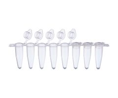 Item thumbnail for item 06150298-78fd-42d1-8380-d9ccb3d1269f