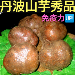 🌟丹波特産山の芋秀品1キロ(山芋)