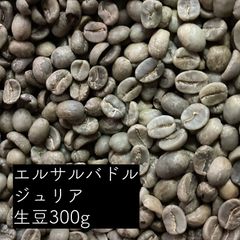 コーヒー 生豆 エルサルバドル ジュリア 300g
