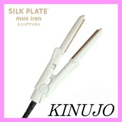 【新品未使用】KINUJO 絹女　ミニアイロン　コンパクト　海外兼用　DG070