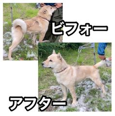 ショップの評価