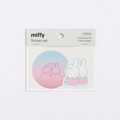 Item thumbnail for item c557cb6f-4d7d-42cc-a879-82f968d8a4f3