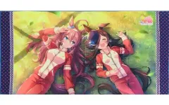 【中古】雑貨 ライバルの背中のその先へ バスタオルVol.2 「ウマ娘 プリティーダービー」のサムネイル