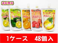 選べる こんにゃくゼリー 48個セット 置き換え 沖縄土産 南国フルーツ 蒟蒻 ドリンクタイプ