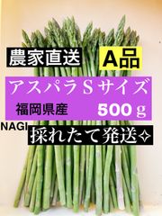 アスパラガス Sサイズ 即購入⭕️