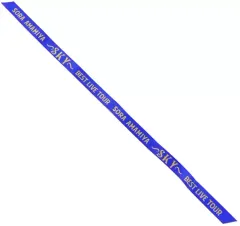 【中古】モバイル雑貨 雨宮天 フォンストラップ 「LAWSON presents 雨宮天 BEST LIVE TOUR -SKY-」 目隠しガチャ景品