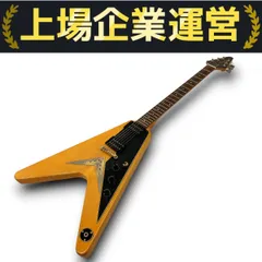 ギブソンフライングVケース付き flying-v-maniacs-case-1-00.jpg