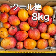 沖縄県産 【訳あり】完熟アップルミニマンゴー8キロ