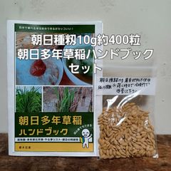 朝日種籾10g約400粒&朝日多年草稲ハンドブックセット ※晩生 種まき5月10日頃