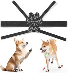 Item thumbnail for item 556526a2-00e4-425a-8e9f-6538e0162907