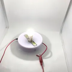 セール 爆光 デコトラ屋 正規品 高輝度 24V専用 BA15S S25 LEDバルブ 特殊レンズ搭載 シングル 平行ピン サイドマーカー バスマーカー ナマズ デコトラ レトロ 大型車 トラック 10個SET Bタイプ