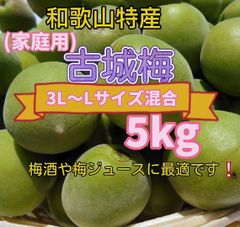 和歌山県みなべ町 南高梅 当日収穫分3L4L混合サイズ5kg - メルカリ