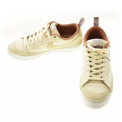 【NIKE×Doyenne】SB DZ3406-100 SB BLAZER LOWスニーカー