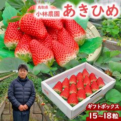 ☆2月下旬より収穫次第購入順に発送☆あきひめ（章姫）いちご ギフトセット 小林農園 わかば農法イチゴ 送料無料 鳥取県産 贈り物 ホワイトデー 雛祭り [冷蔵便]akihime