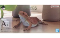 【中古】フィギュア フトアゴヒゲトカゲ 「一番くじ 爬虫類＆両生類～Tiny Friends～」 A賞 フィギュア