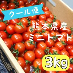 【クール便】ミニトマト　3kg