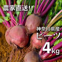 【農家直送】新鮮ビーツ ４kg【農薬不使用】【神奈川県産】