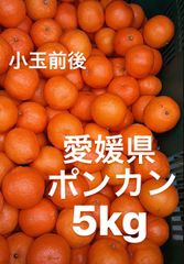 愛媛県産　ポンカン　柑橘　5kg