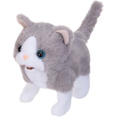 Item thumbnail for item eb49bdee-00bf-4c77-a43f-b7b5423f1fd9