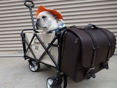 【バイク屋が作った！】ピクニックキャリーカート用 アウトドア オプションバッグ ダークブラウン 10Lスリムサイズ