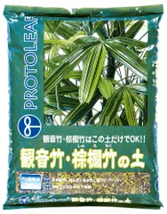 2026年最新】観音竹の人気アイテム - メルカリ