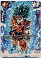 バンダイ 烈火の闘気 FB02-119 孫悟空 SR★