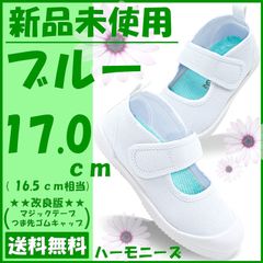 上履き ブルー キッズシューズ 17センチ テープ＆つま先改良 ハーモニーズ