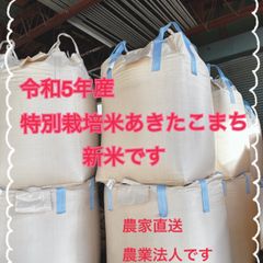★送料込み★令和5年産　特別栽培米あきたこまち玄米30kg