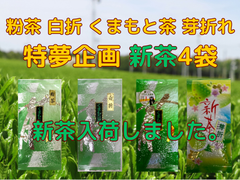 新茶入荷しました!!!全国 送料無料 新茶 八十八夜 母の日 お茶  緑茶 健康  水出し 九州産良いこととり 特夢企画（粉茶　白折　くまもと茶　芽折 緑茶）100g✕4袋セット
