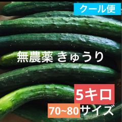 きゅうり　農薬不使用　５キロ クール便
