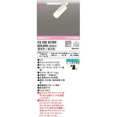 Item thumbnail for item 87c88050-ed13-462a-8e07-5d2682c68faa