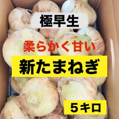 農家直送‼️採りたて‼️新玉ねぎ5キロ‼️肉厚で甘い‼️