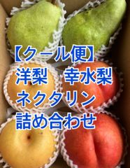 【クール便】ネクタリン　豊水　洋梨