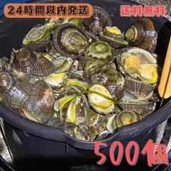 冷凍イソガニ300匹　磯ガニ　イソカニ　釣り餌　石鯛　黒鯛 冷凍イソガニ300匹 磯ガニ イソカニ 釣り餌 石鯛 黒鯛