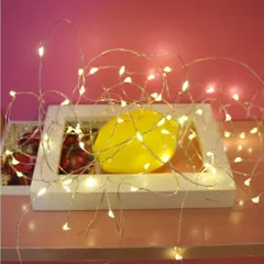 【全国送料無料】LEDジュエリーライト 照明 シンプル 2mLEDライト【L】
