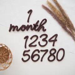 【人気No.1】月齢フォト＊マンスリーフォト　ウールレター　月齢　レターバナー