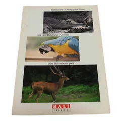 2025年最新】インドネシア切手の人気アイテム - メルカリ