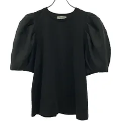 SALON adam et rope サロンアダムエロペ 24SS シアーパフスリーブTシャツ SHM-34190-A ブラック Fのサムネイル