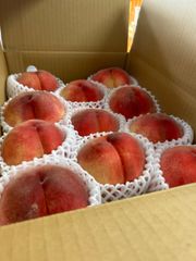 山梨一宮で収穫されためっちゃ甘い桃 オープンサービスで14個詰めて