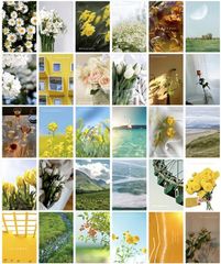 Item thumbnail for item 778828b2-2538-4ee9-b89e-0b42a9b9a227