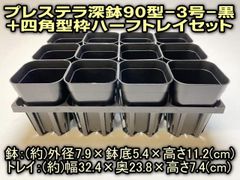 プレステラ深鉢90型(スリット3号深型)黒(12鉢)＋四角型枠ハーフトレイセット＊多肉植物・塊根植物コーデックス・アガベ・サボテン＠フラワーショップ江口