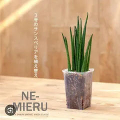 【根が見える魔法の鉢】スリット鉢 ネガミエル 3.5号ロング 5個セット スクエアロング 透明