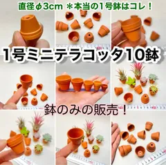 ミニテラコッタ鉢-1号(外径直径φ3cm×高さ2.5cm)×10鉢セット※鉢のみ＊エアプランツや多肉植物は付属しません＠フラワーショップ江口のサムネイル
